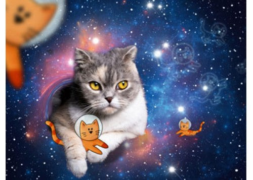 Puzzle - Ravensburger- Cats in Outer Space 1500p