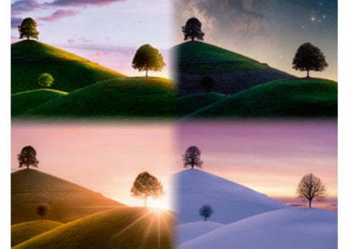 Puzzle - Ravensburger- Atmospheric trees and mountains 2000p
