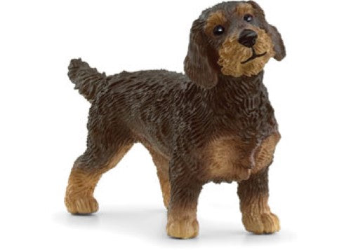 Schleich - Wire-Haired Dachshund