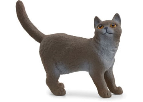 Schleich - British Shorthair Cat