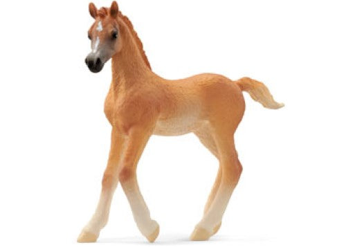 Schleich - Arab foal