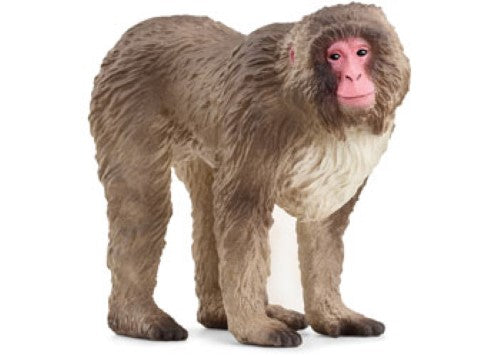 Schleich - Japanese Macaque