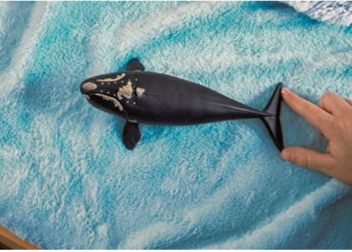 Schleich - North Atlantic Right Whale