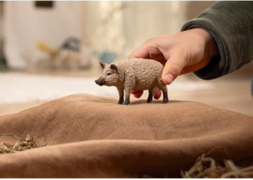 Schleich - Mangalica