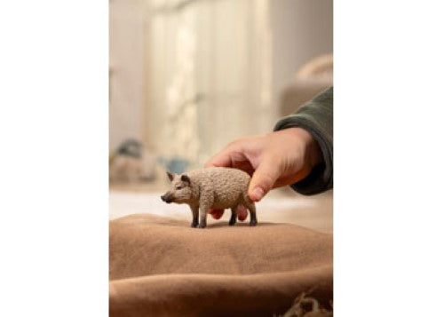 Schleich - Mangalica