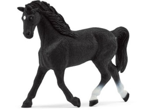 Schleich - Holstein Mare Ltd ed