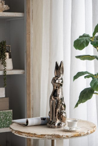 Decorative - Seashell