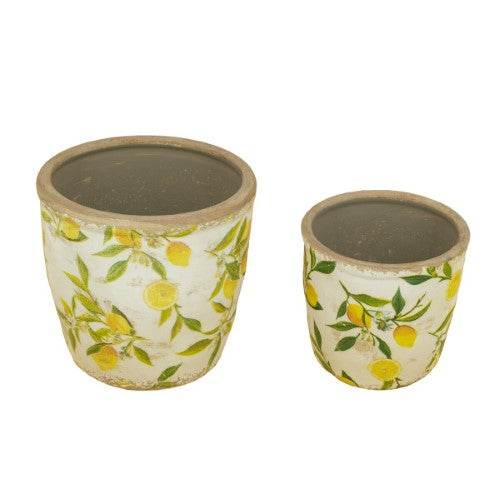 Decorative - Lemon & Leaves Planter Set of 2
