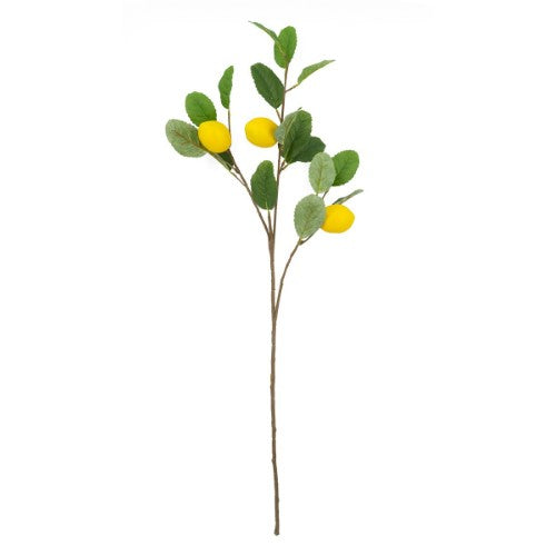 Decorative - Lemon Spray