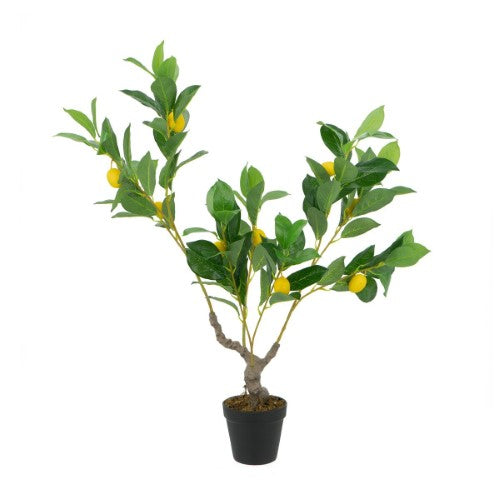 Decorative - Potted Lemon Tree