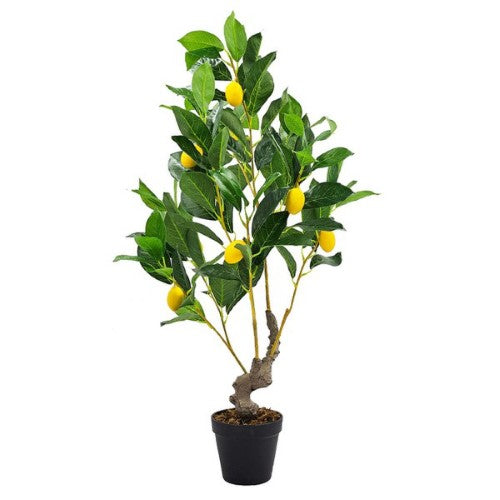 Decorative - Potted Lemon Tree