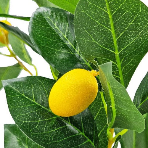 Decorative - Potted Lemon Tree