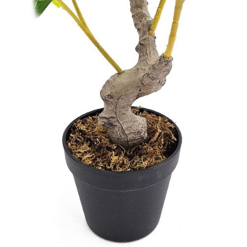 Decorative - Potted Lemon Tree