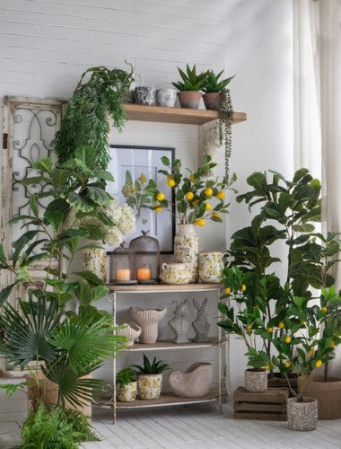 Decorative - Potted Lemon Tree