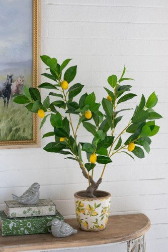 Decorative - Potted Lemon Tree