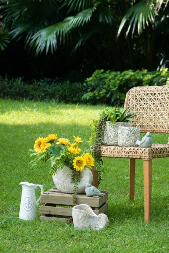 Decorative - Shell Planter - 21cm