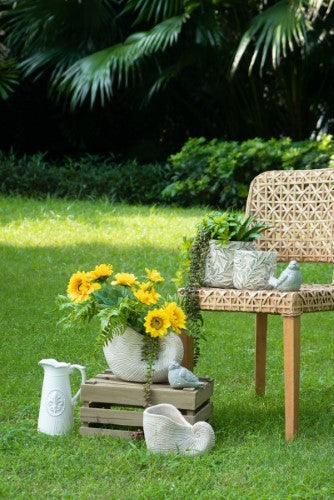 Decorative - Shell Planter - 29cm