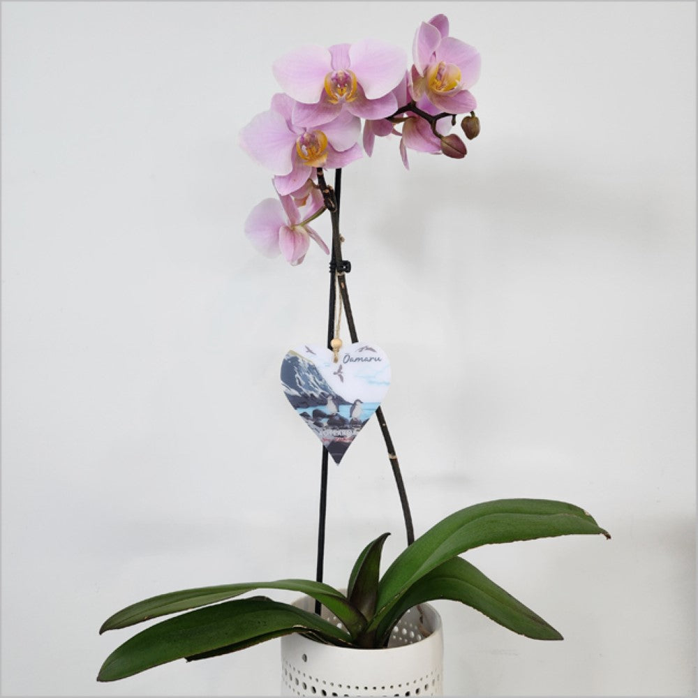 Hanging Ornament - Printed Heart 22 (Oamaru 1)