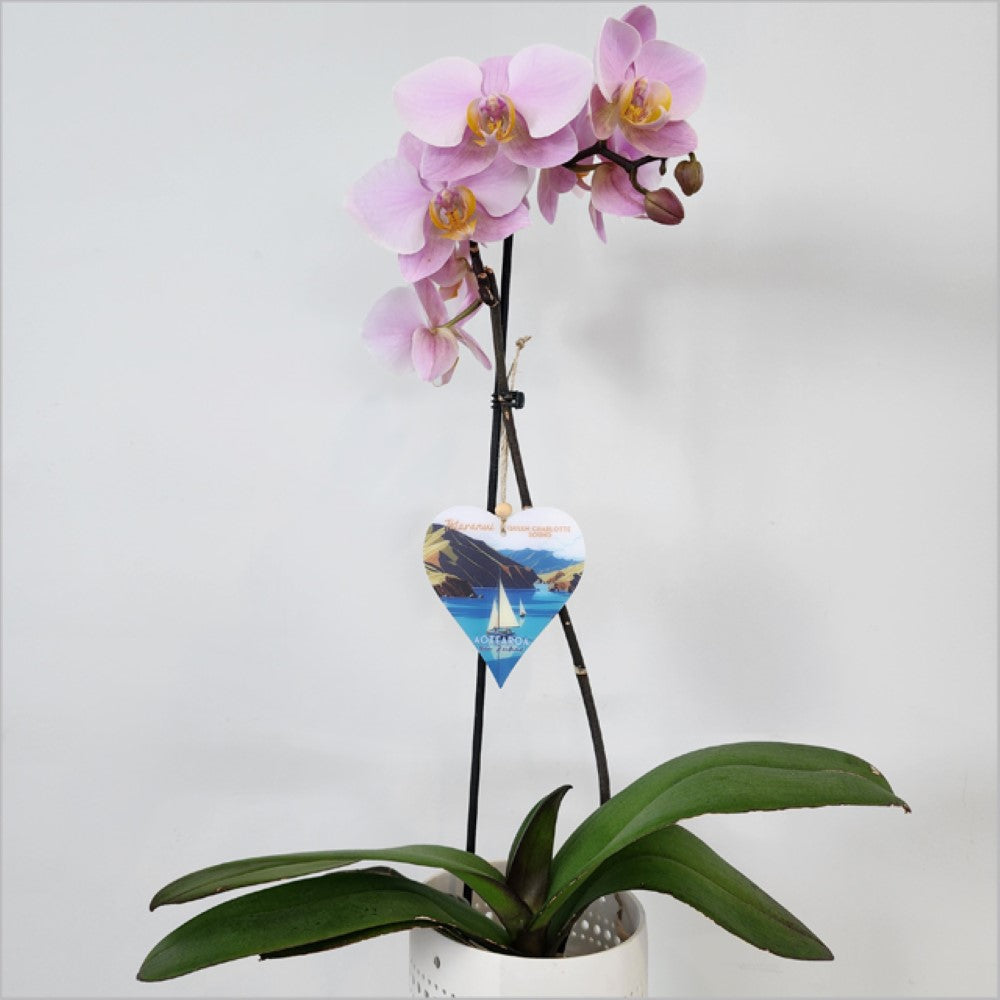 Hanging Ornament - Printed Heart 23 (QC Sound 1)