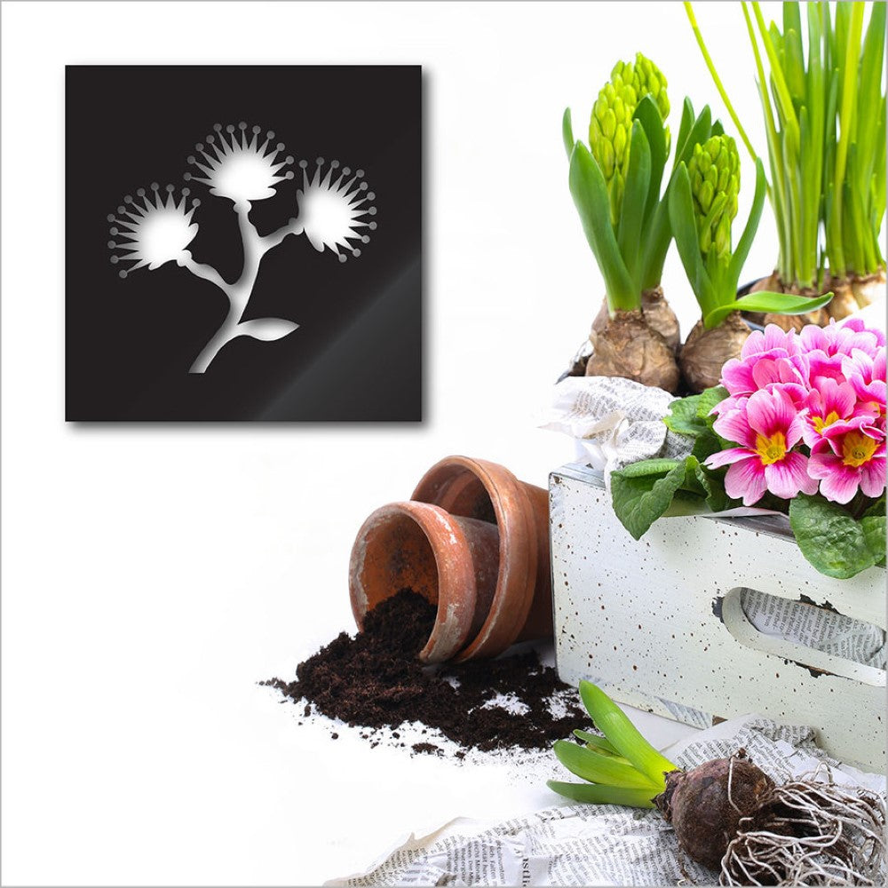 Square Wall Art - Pohutukawa (ACM Black)