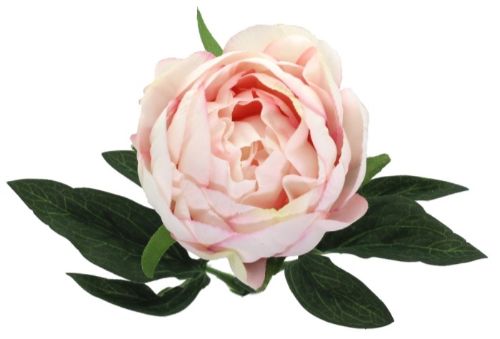 Artificial Single Peony Stem - 44cm (Pink)