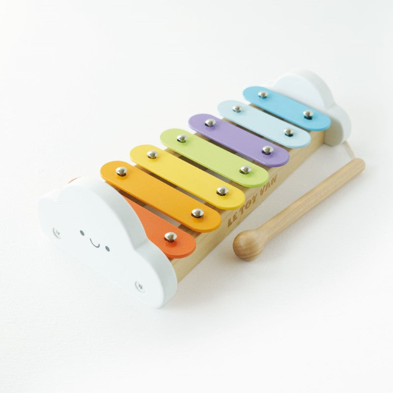 Xylophone With Metal Notes
