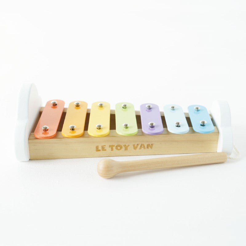 Xylophone With Metal Notes