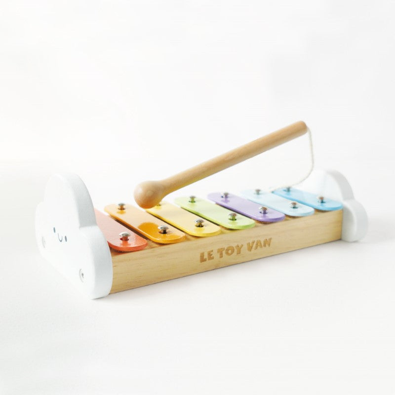 Xylophone With Metal Notes