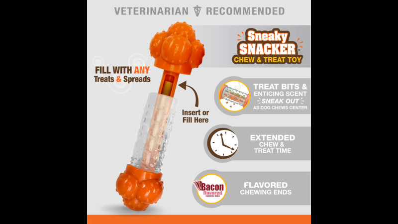 Dog Toy - Strong Chew Sneaky Snacker Chew & Treat Toy - Giant