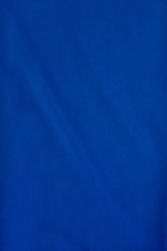 Womens Florence Plain S/S Shirt - Electric Blue (Size 4)