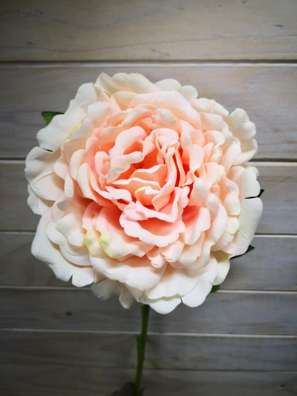 Artificial Flower Stem - Large Velvet Peony (Champagne)
