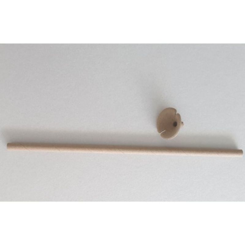 Balloon Cups & Sticks 30cm Paper 20PC - Pack of 20