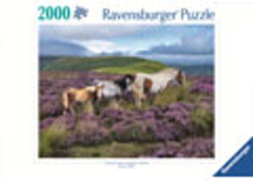 Wild Horses in the Heather Jigsaw Puzzle 2000 Piece Ravensburger