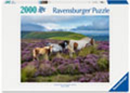 Wild Horses in the Heather Jigsaw Puzzle 2000 Piece Ravensburger