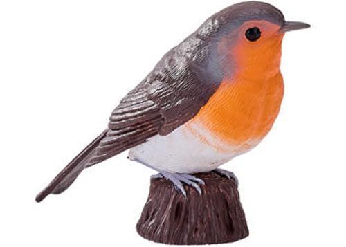 Mojo - Robin