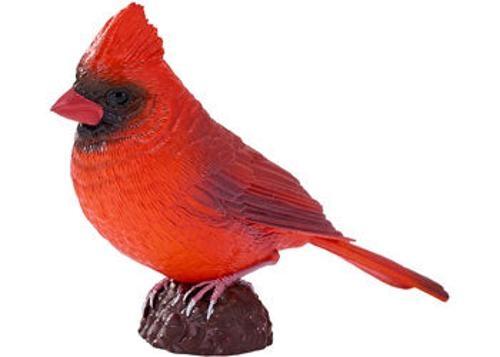 Mojo - Red Cardinal