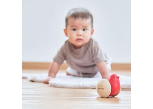PlanToys - Bird Roller
