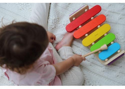 PlanToys - Oval Xylophone