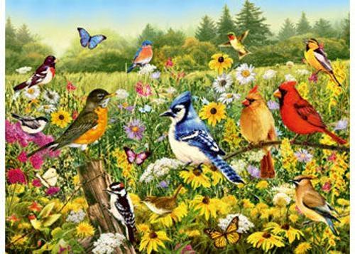 Ravensburger - Birds in the Meadow Puzzle 500 Pieces