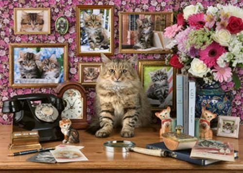 Ravensburger - My Cute Kitty Puzzle 1000 Pieces