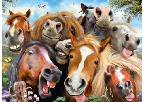 Ravensburger - Horsing Around Puzzle 500 Pieces
