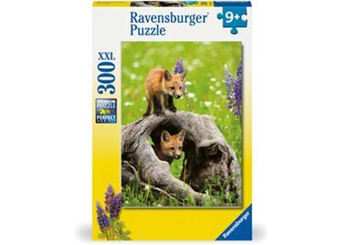 Ravensburger - Curious Foxes Puzzle 300 Pieces