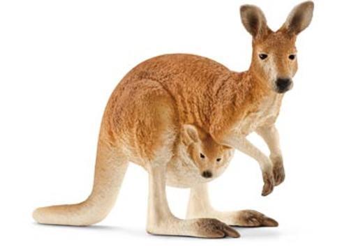 Schleich - Kangaroo