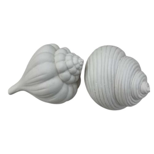 White Shell Ornaments Set of 2 14cm