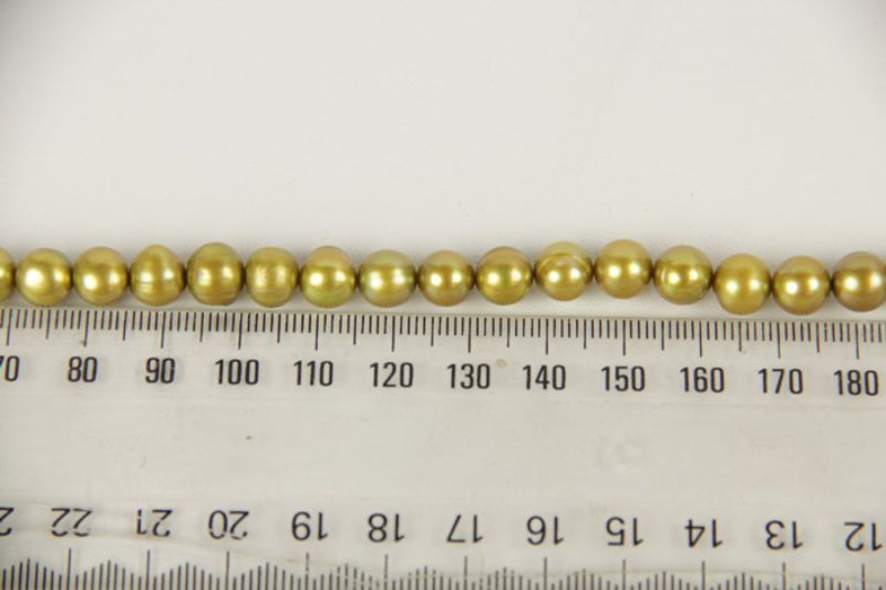 Beads - Pearls (Freshwater) - PERIDOT