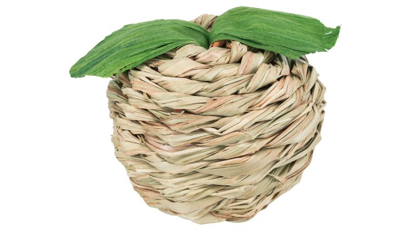 Pet Toy - Grass Apple (7cm)