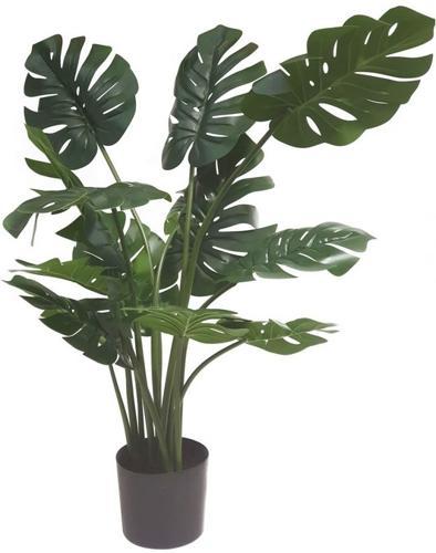 Monstera - 1100mm - IV3011