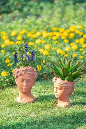Terracotta Visage Head Planter - 185 X 175 X 270