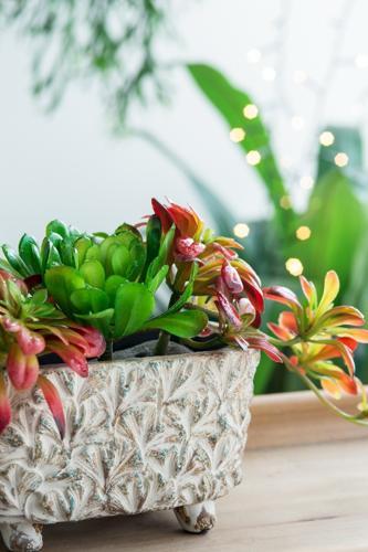 Terracotta Planter - 240 X 125 X 125