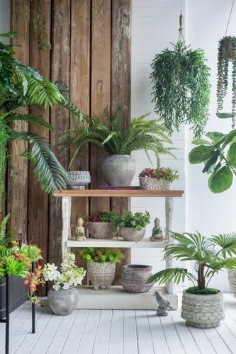 Terracotta Planter - 210 X 210 X 215